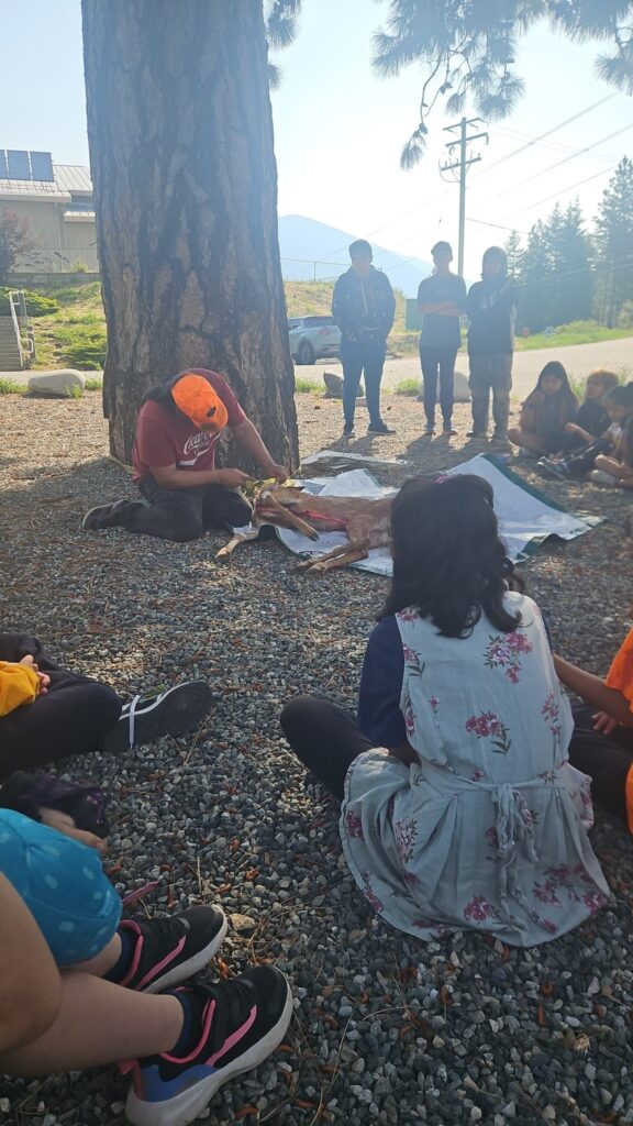A group of children observes a hands-on demonstration of deer processing under a large tree